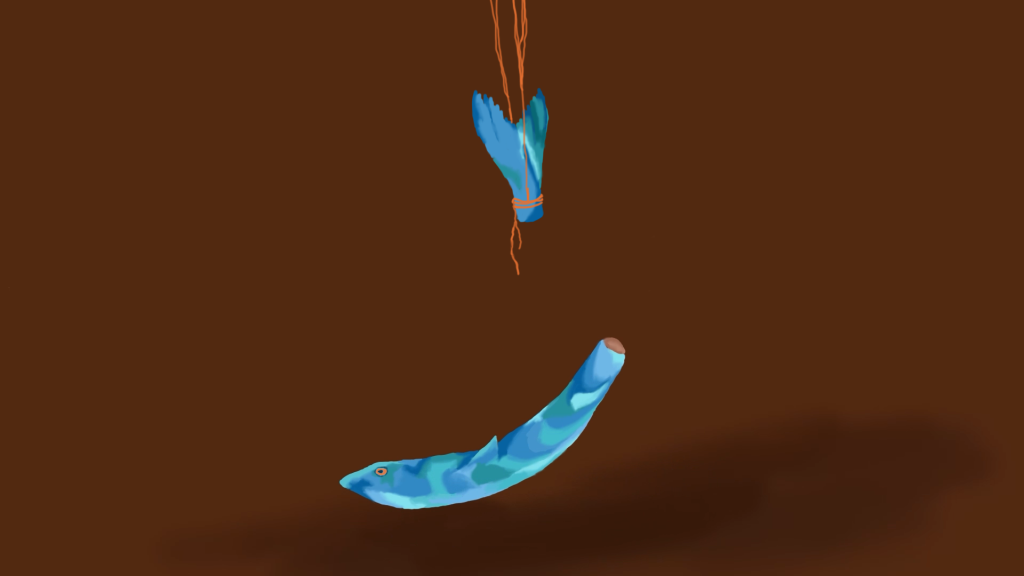 fishs4
