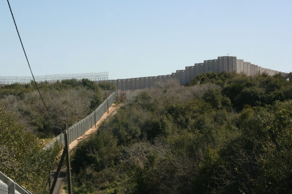 עותק של IMG_6824